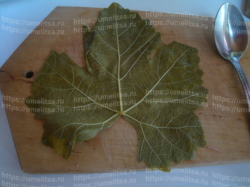 Домашняя долма. Рецепт приготовления с пошаговыми фото.