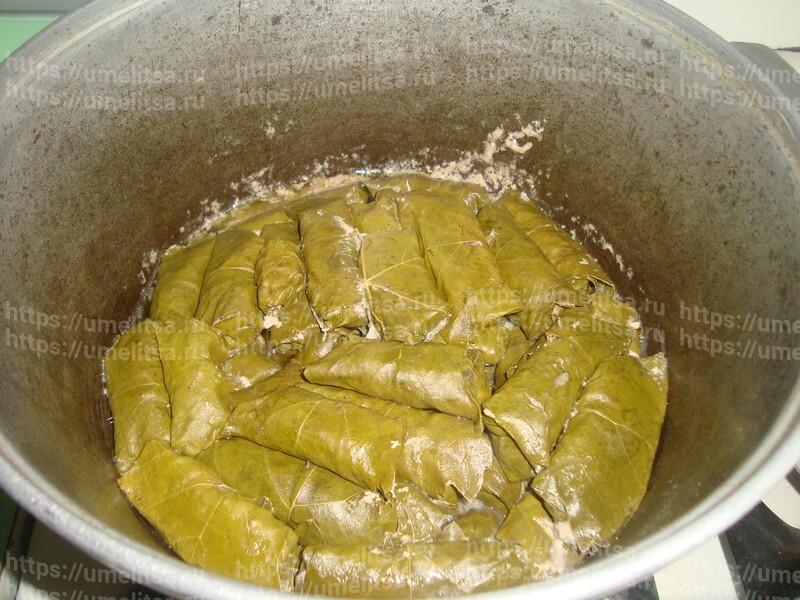 Домашняя долма. Рецепт приготовления с пошаговыми фото.