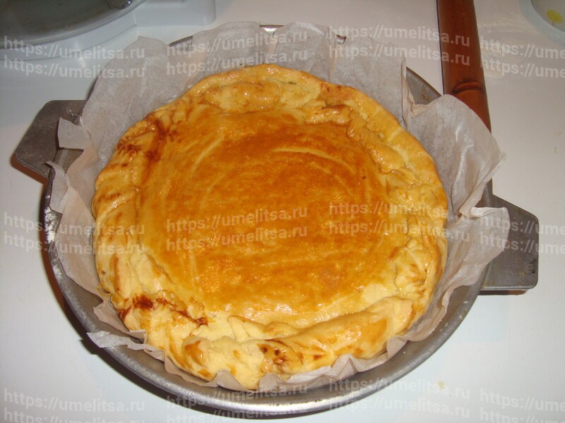 Солнечный лимонник в морозную стужу!