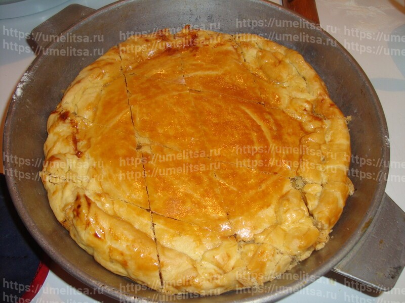 Солнечный лимонник в морозную стужу!