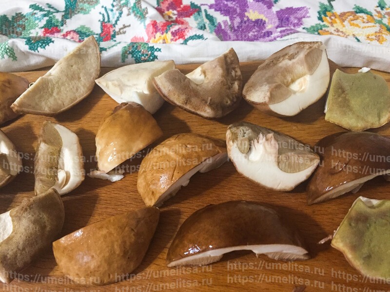 Маринованные белые грибы с веточкой вишни и укропом