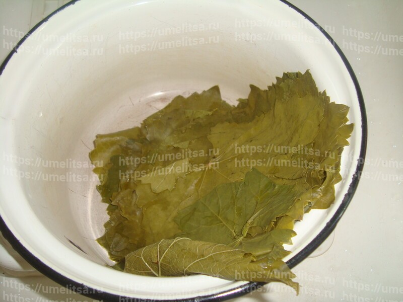 Домашняя долма. Рецепт приготовления с пошаговыми фото.