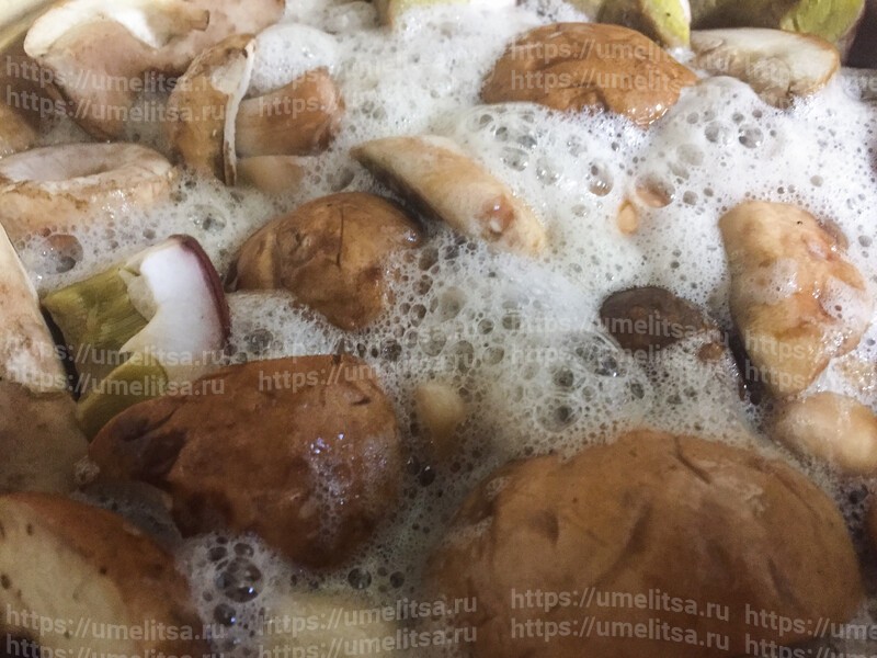 Маринованные белые грибы с веточкой вишни и укропом