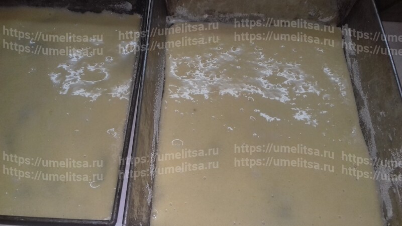 Медовик Наливной