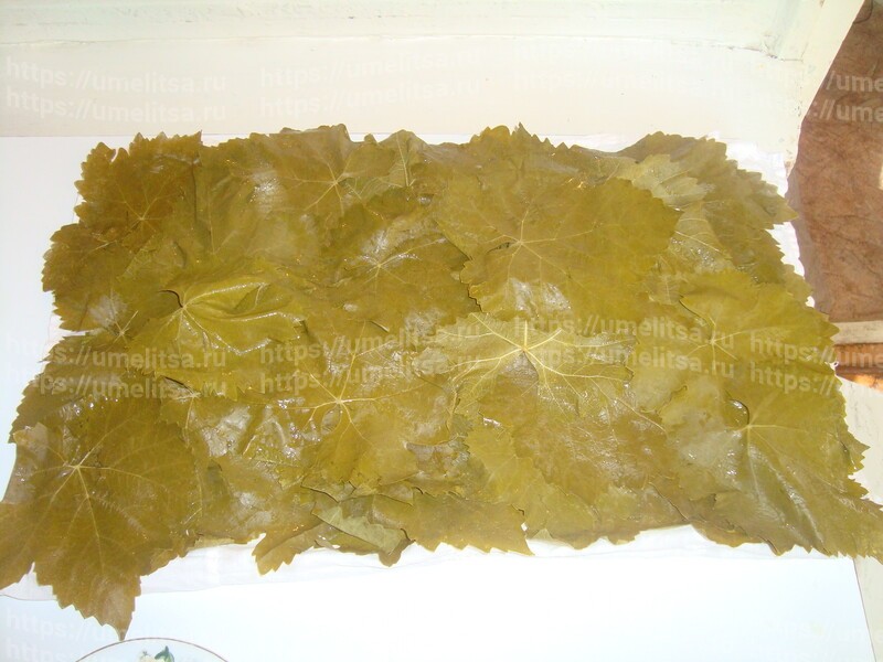 Домашняя долма. Рецепт приготовления с пошаговыми фото.