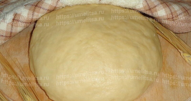 Дрожжевое тесто для пирожков и пышек