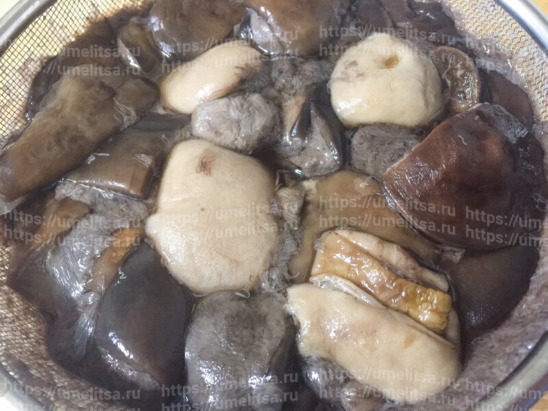 Маринованные белые грибы с веточкой вишни и укропом