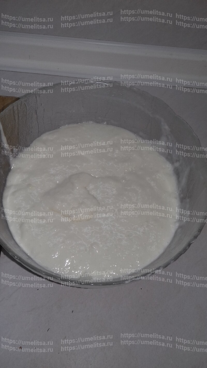 Медовик Наливной