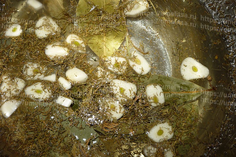 Зелёные бочковые помидоры