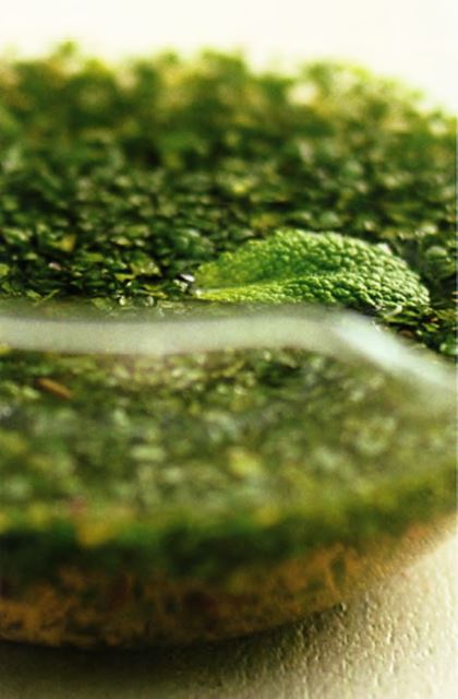 Мятный соус