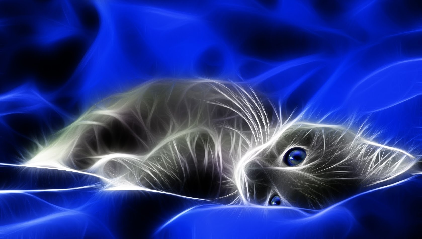 Кошачий мур сулит лямур. Любовный сонник.